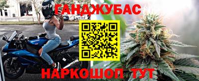 СК Будённовск