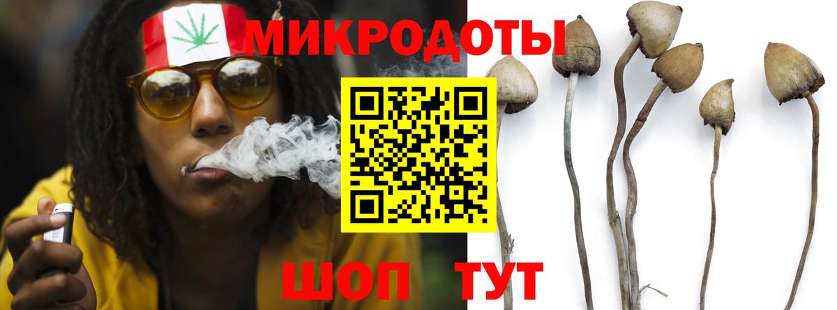 Галлюциногенные грибы GOLDEN TEACHER Семёнов